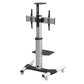 Wolff Mount TVB-34 tv floor stand – product view